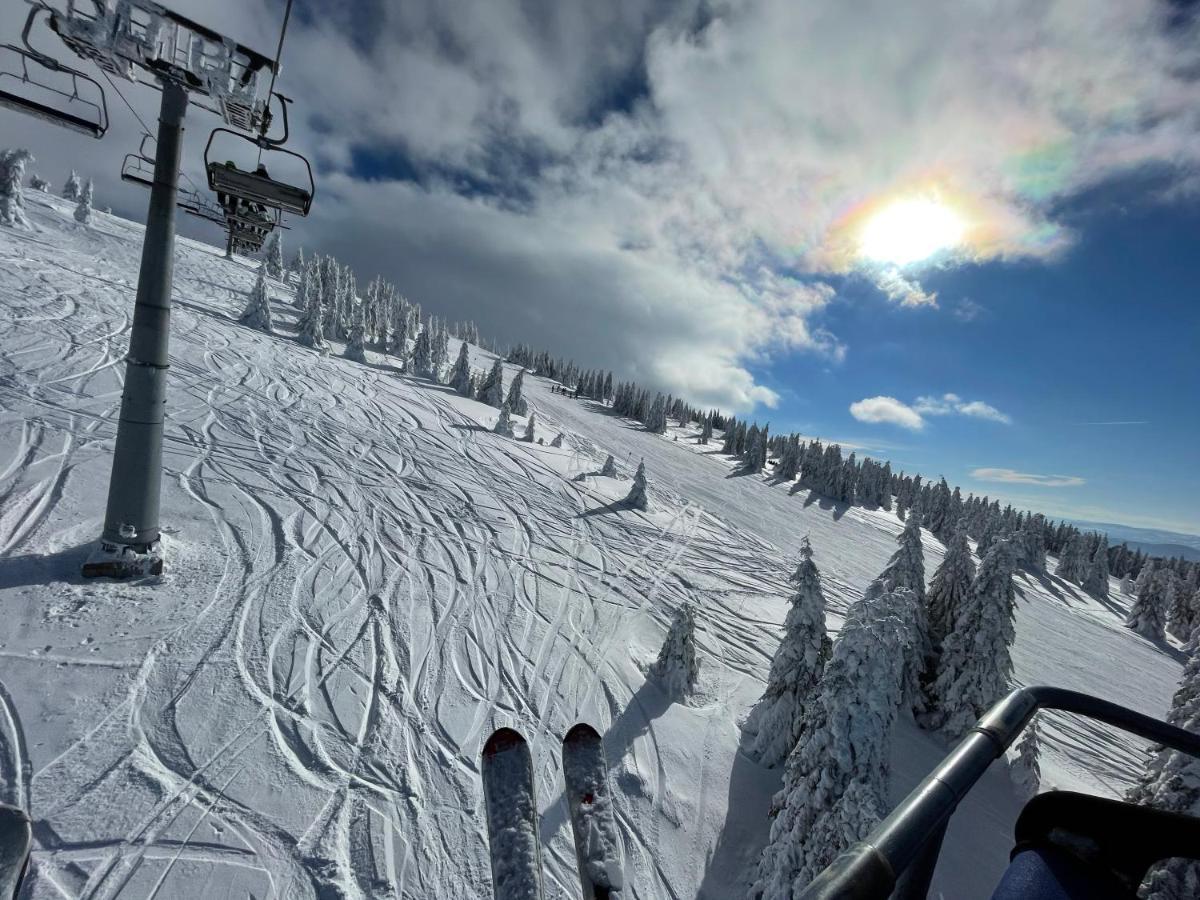Pano Kopaonik Panorama Apartman Kültér fotó